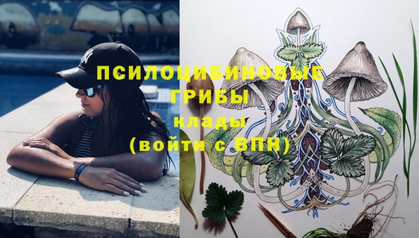 бутират Богородицк