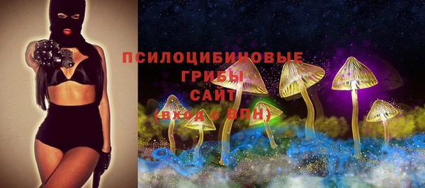 спайс Богородск
