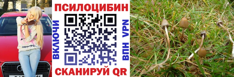 Псилоцибиновые грибы ЛСД  Краснознаменск 