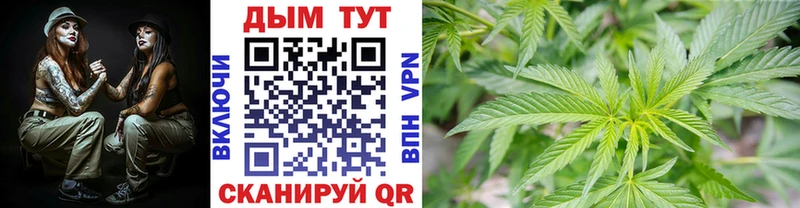 Бошки марихуана SATIVA & INDICA Краснознаменск